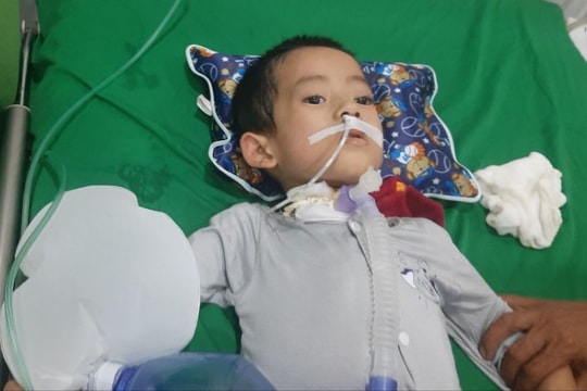 Gia cảnh éo le của cháu bé ở Quỳnh Lưu mắc bệnh tim hiểm nghèo 