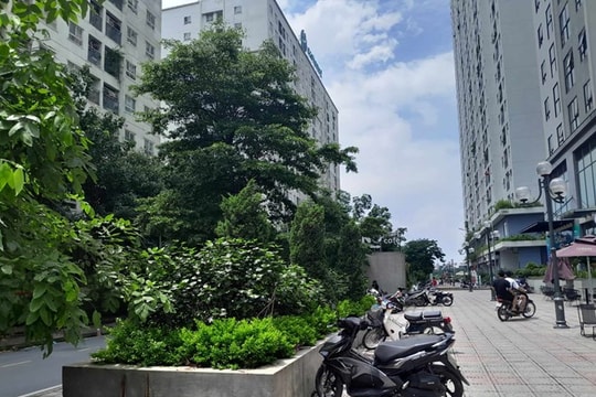 Sau định danh biển số, bán xe cũ được hoàn phí bảo hiểm xe máy