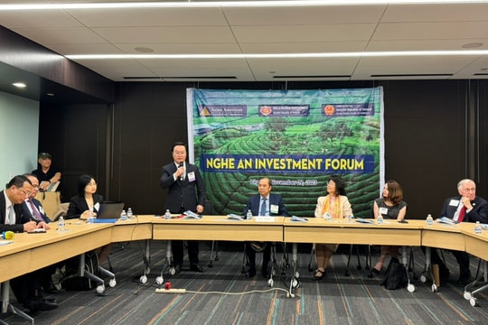 Tỉnh Nghệ An chia sẻ, kết nối cơ hội đầu tư với các tổ chức, doanh nghiệp Hoa Kỳ