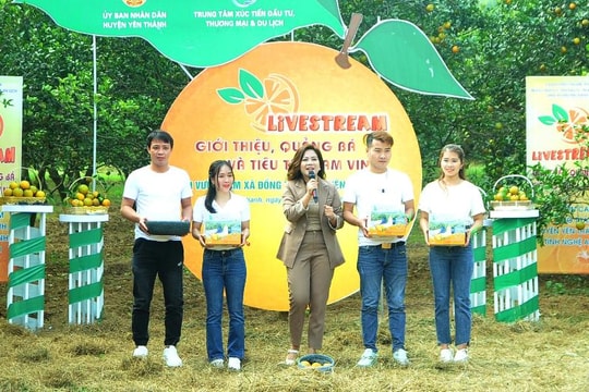 Doanh nghiệp Nghệ An được đào tạo kỹ năng livestream bán hàng và áp dụng công nghệ AI