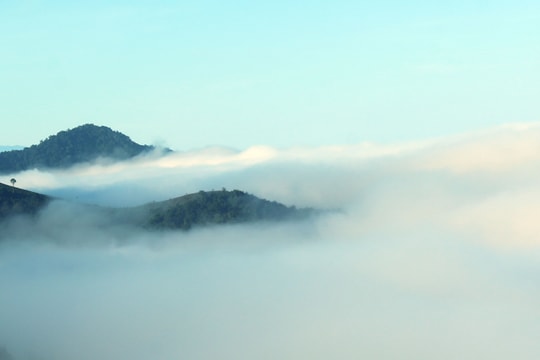 Đào cổ thụ nở rộ trong biển mây bồng bềnh trên đỉnh Pu Lon