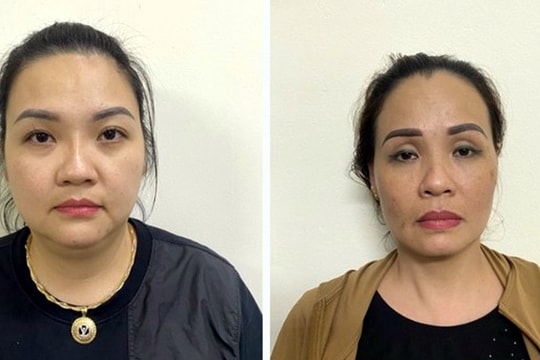 Tạm giam 2 chị em cầm đầu đường dây đẻ thuê với giá 1,5 tỷ đồng/lần