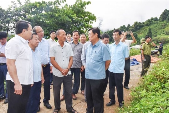 Nghệ An tiếp cận thị trường triệu đô mua bán tín chỉ carbon 