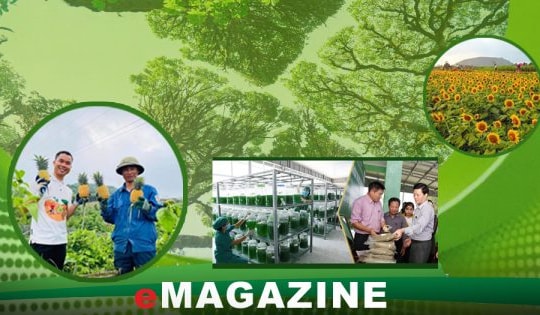 Bài cuối: Bám sát Nghị quyết 39 của Bộ Chính trị, hướng mạnh kinh tế xanh ở Nghệ An