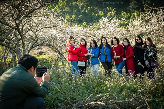 Các chuyên gia và doanh nhân hiến kế phát triển bền vững du lịch Kỳ Sơn