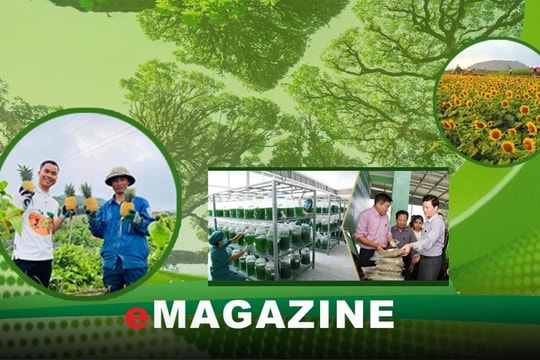 Kinh tế xanh - xu thế tất yếu