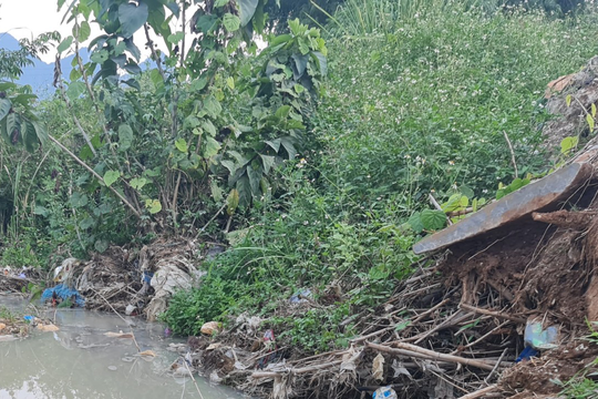 Một doanh nghiệp chế biến đá ở Quỳ Hợp bị phạt 35 triệu đồng