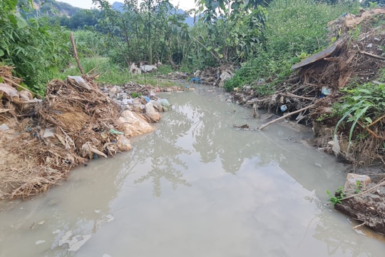 Doanh nghiệp chế biến đá ở Quỳ Hợp bị phạt vì vi phạm môi trường