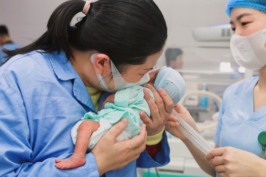 Những cánh chim non vượt 'bão'