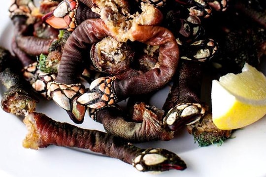 Đặc sản 'ngón tay của quỷ' giá gần 4 triệu đồng/kg, muốn mua cũng khó