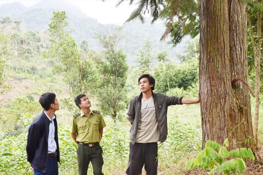 Những người xây ‘kho vàng xanh’ nơi đại ngàn