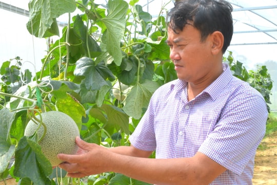 Hợp tác xã - 'bà đỡ' cho nông dân ở Yên Thành