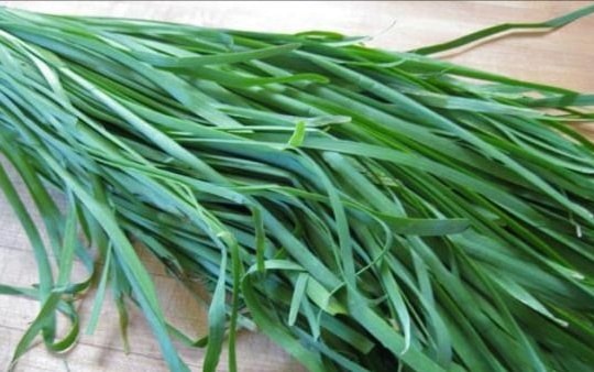 7 cách dùng cây rau hẹ giảm ho, viêm họng