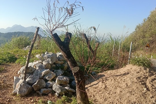 Lên Facebook đe dọa cán bộ xã, người đàn ông ở Nghệ An bị phạt 7,5 triệu