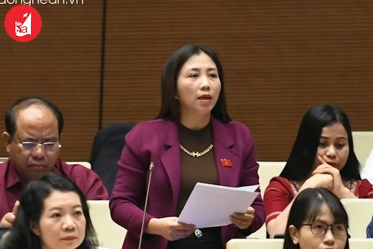 Điểm tin ngày 23/11