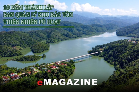 Dấu ấn một chặng đường phát triển