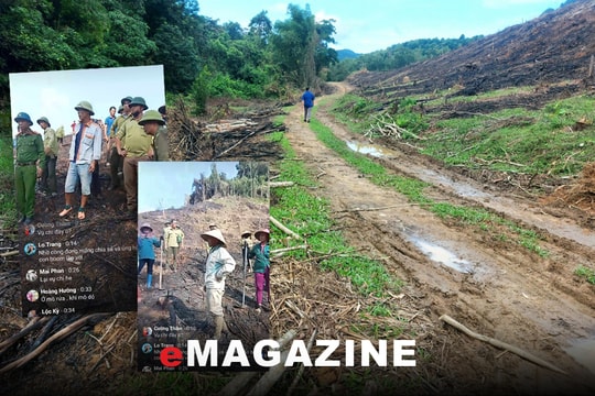 Poom Lầu, nóng chuyện đất rừng...