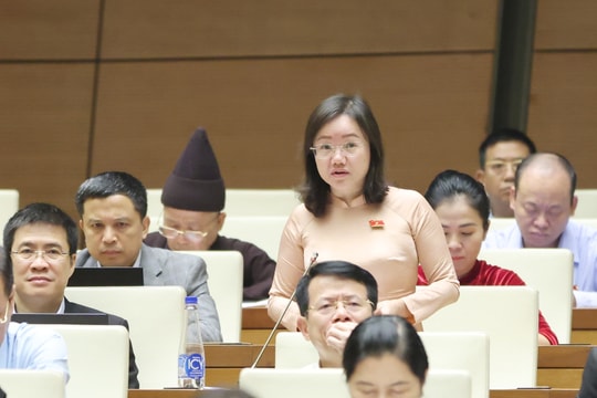 Đại biểu Quốc hội đoàn Nghệ An đề nghị nâng tỷ lệ tiền đặt trước để hạn chế 'cò đấu giá', bỏ cọc