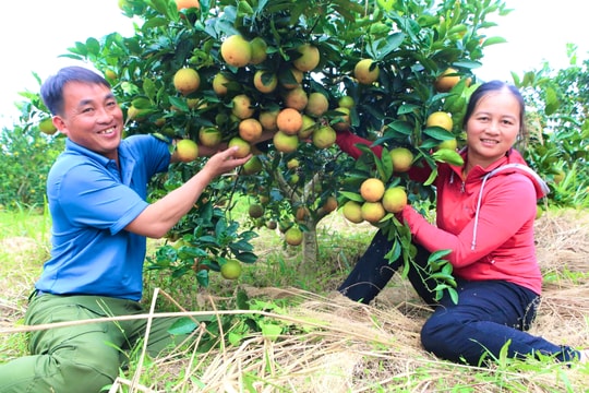 Trang bị kiến thức bán hàng qua mạng cho nông dân Nghệ An