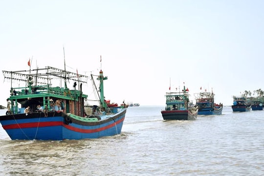 Nghệ An sẽ giảm dần tàu cá khai thác hải sản ảnh hưởng đến nguồn lợi và môi trường sinh thái 