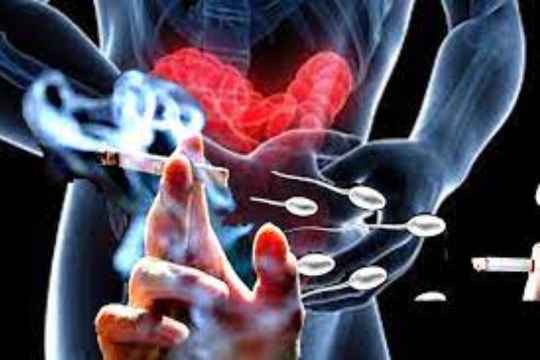 Hút thuốc lá gây nên hàng loạt vấn đề nguy hại cho sức khỏe sinh sản