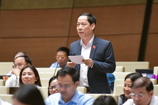 Đại biểu Quốc hội Trần Nhật Minh: Cần nâng tiền đặt cọc khi tiến hành đấu giá