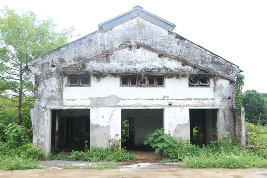 Nhiều vướng mắc chưa được giải quyết khi kiện toàn, giải thể các Tổng đội Thanh niên xung phong 