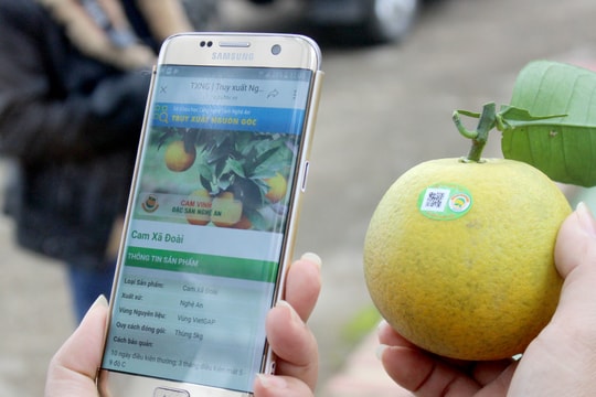 21 đơn vị, cá nhân có giấy chứng nhận quyền sử dụng chỉ dẫn địa lý cam Vinh