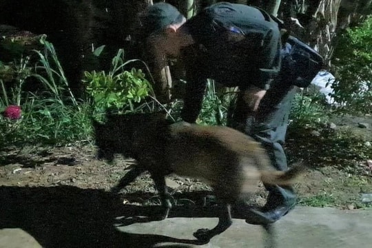 Lực lượng chức năng sử dụng chó nghiệp vụ tìm kiếm cháu bé 2 tuổi mất tích ở Hoàng Mai