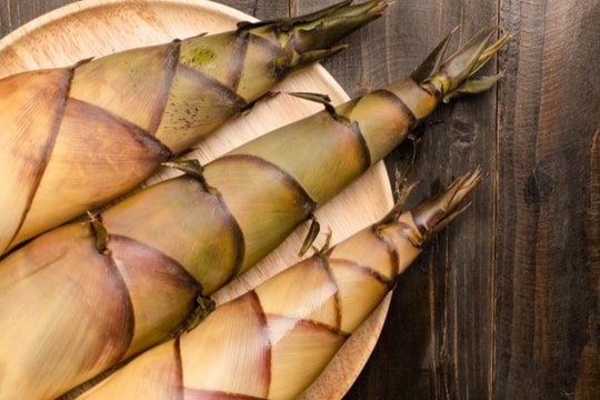 Vì sao không nên ăn nhiều măng?