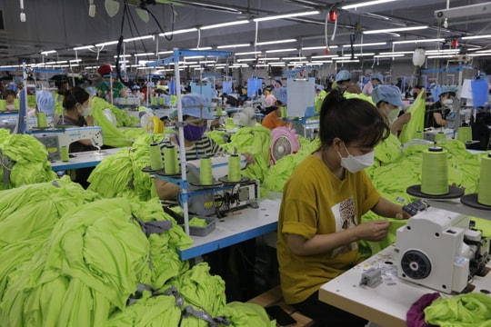 Nghệ An tập trung giải ngân chương trình cho vay theo Nghị quyết số 11 của Chính phủ