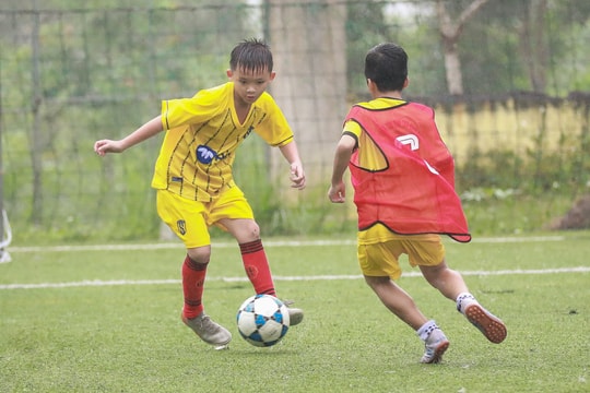 Nhiều đổi mới tại Giải Bóng đá các lớp năng khiếu cơ sở Sông Lam Nghệ An năm 2023