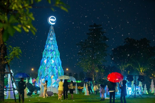 Lần đầu tiên hàng nghìn cư dân, du khách check in khu rừng pha lê, đón Noel sớm ở Nghệ An