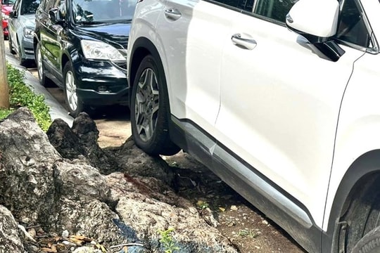 Những lưu ý khi đỗ ô tô không làm ảnh hưởng đến chất lượng lốp xe