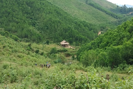 'Nóng' vấn đề quản lý, sử dụng đất từ các công ty nông, lâm nghiệp và Tổng đội TNXP