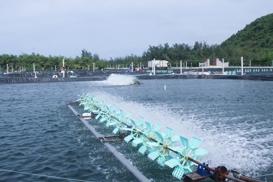 Nghệ An bố trí gần 2.000 tỷ đồng thực hiện các cơ chế, chính sách đầu tư phát triển