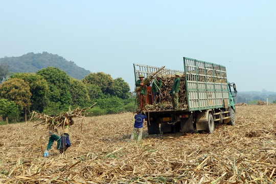 Cử tri ghi nhận trả lời chất vấn của ngành Tài nguyên và Môi trường, Nông nghiệp & PTNT