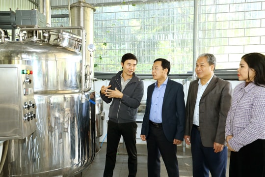 Từng bước đổi mới, nâng hiệu quả hoạt động của hợp tác xã theo chuỗi giá trị