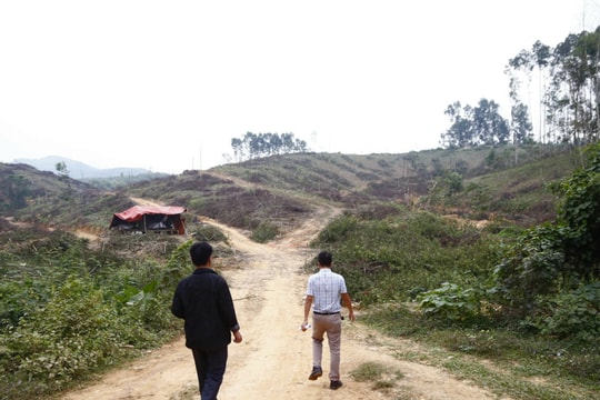 Tái diễn hành vi chiếm đất ở Châu Bình: Xử lý dứt điểm mâu thuẫn! 