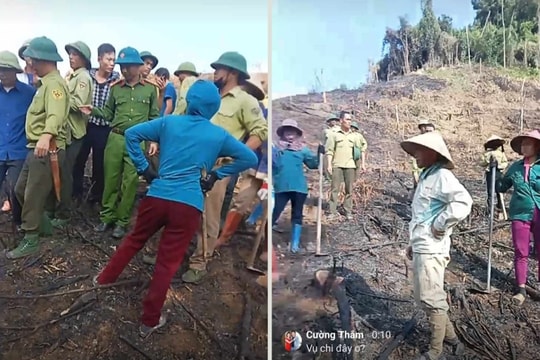 Lập Tổ công tác liên ngành kiểm tra, xử lý việc trồng cây, chiếm đất ở Poom Lầu