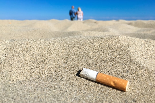 Thuốc lá hủy hoại môi trường sống con người