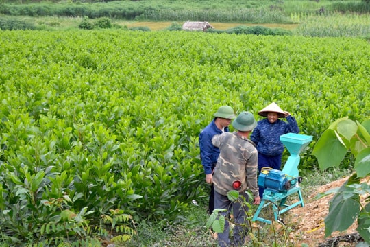 Một số cử tri muốn làm rõ thời hạn bàn giao, cấp giấy chứng nhận quyền sử dụng đất có nguồn gốc từ nông, lâm trường