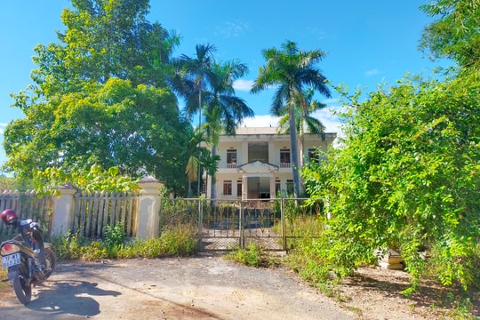 Dự án chè xanh chất lượng cao chưa thực hiện đã...'chết yểu'