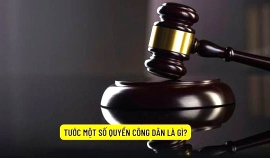 Trong trường hợp nào sẽ bị tước một số quyền công dân?