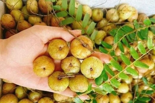 Mắc kham gây sốt ‘chợ mạng’, giá bán đắt gấp đôi