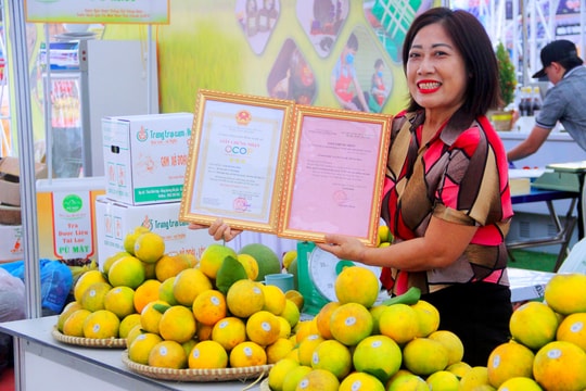 Cam Vinh Hương Hóa được ưa chuộng tại Hội chợ Công Thương vùng Bắc Trung Bộ 