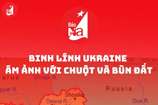 Binh lính Ukraine ám ảnh với chuột và bùn đất