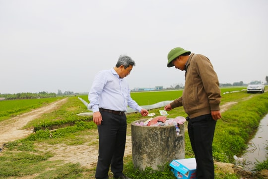 Giảm thiểu tác hại thuốc bảo vệ thực vật trên vùng rau