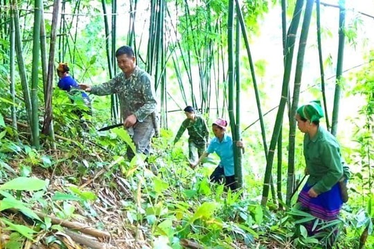 Động lực khơi dậy ý chí thoát nghèo ở huyện biên giới Quế Phong