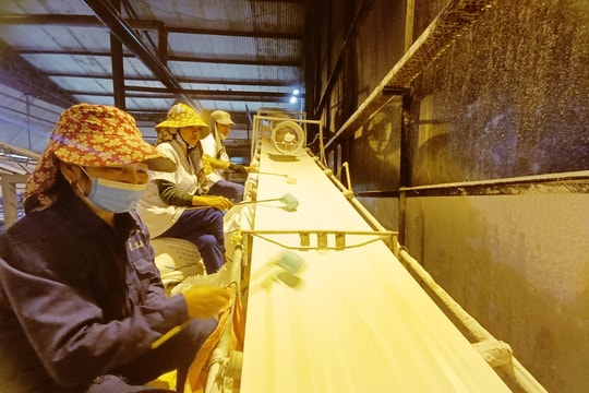 Công ty cổ phần Mía đường Sông Con vào vụ ép, thu mua mía gần 1,1 triệu đồng/tấn